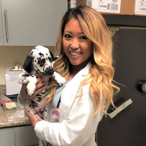 Dr. Kathyrn-Kay Tiburcio, Mamaroneck Veterinarian